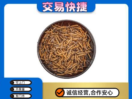 聊城阳谷县回收散虫草